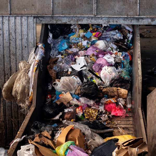 Global Waste (Canva)