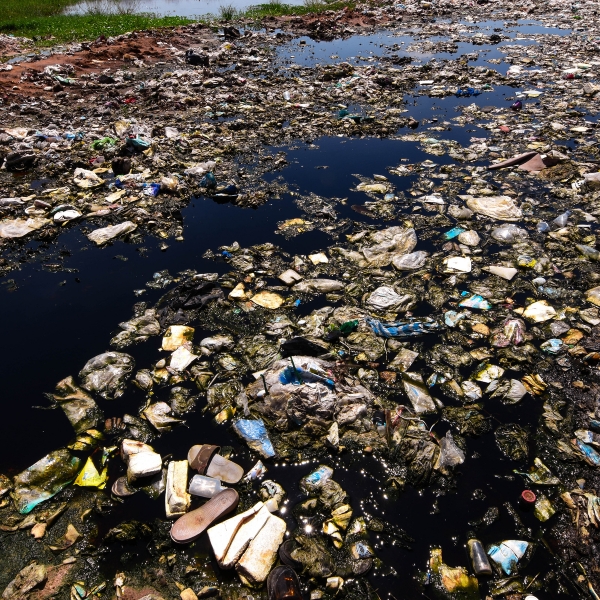 Furniture Waste Problem (Canva)