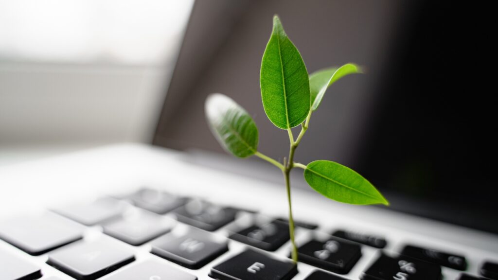 Workplace Sustainability (Canva)