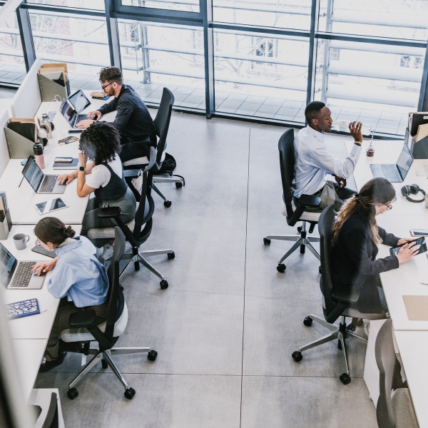 Workplace Dynamic